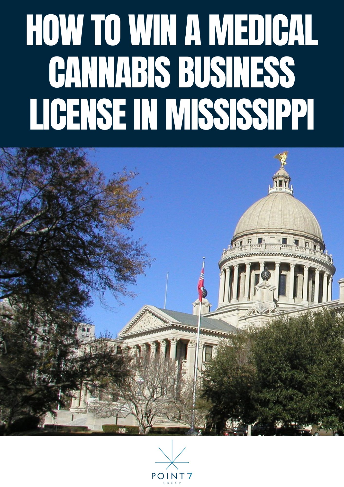 How to Win a Medical Cannabis Business License in Mississippi