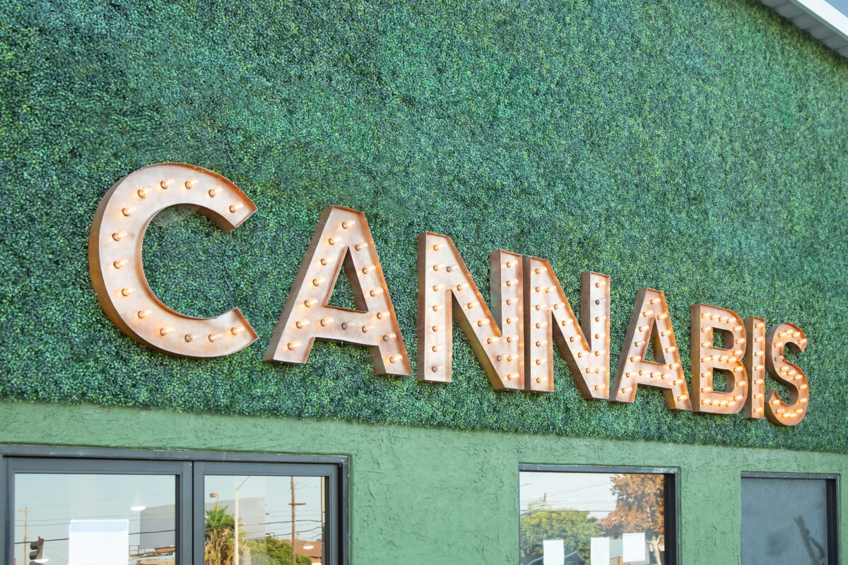 Minnesota Cannabis Business