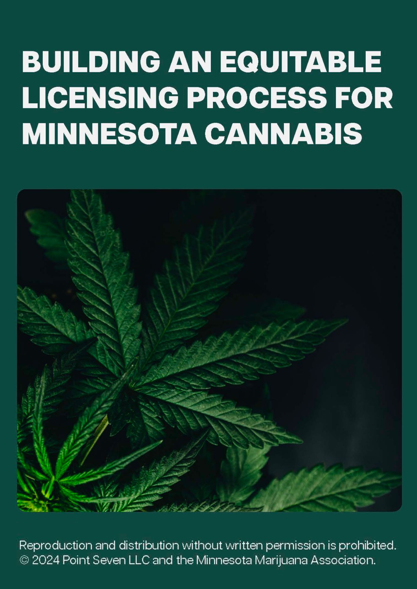 Cannabis Resource - Building an Equitable Licensing Process for Minnesota Cannabis