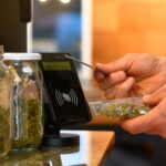 Wayzata’s City Council and mayor approved a contract with Colorado-based consulting firm Point7 to draft a business plan for the possible municipal dispensary. 